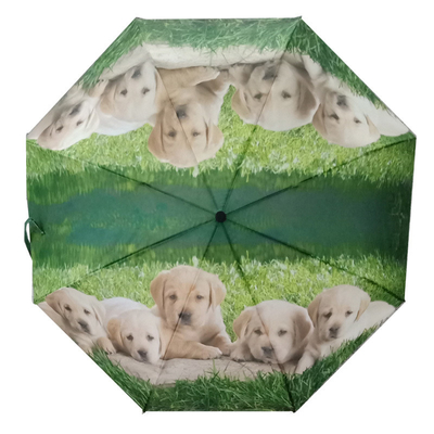 DIY Custom Design Dragonfly Animal Pattern Um guarda-chuva triplo com revestimento preto