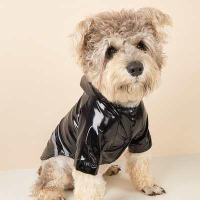Proteja o seu animal de estimação da chuva e fique seguro PVC Reflector Cão personalizado casaco de chuva para viagens