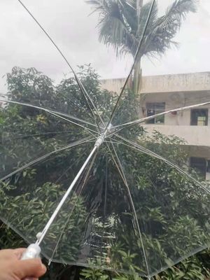 Produto de guarda-chuva de plástico Parapluie aberto automático Padrão Direito POE Guarda-chuva transparente