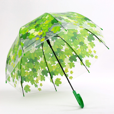 Um guarda-chuva de punho longo e reto com folha de bordo Apollo Design de material transparente