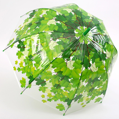 Um guarda-chuva de punho longo e reto com folha de bordo Apollo Design de material transparente