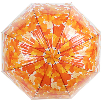 Um guarda-chuva de punho longo e reto com folha de bordo Apollo Design de material transparente