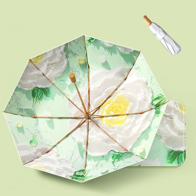 Guarda-chuva publicitária dobrável magia DIY pintura a óleo arte para proteção solar feminina